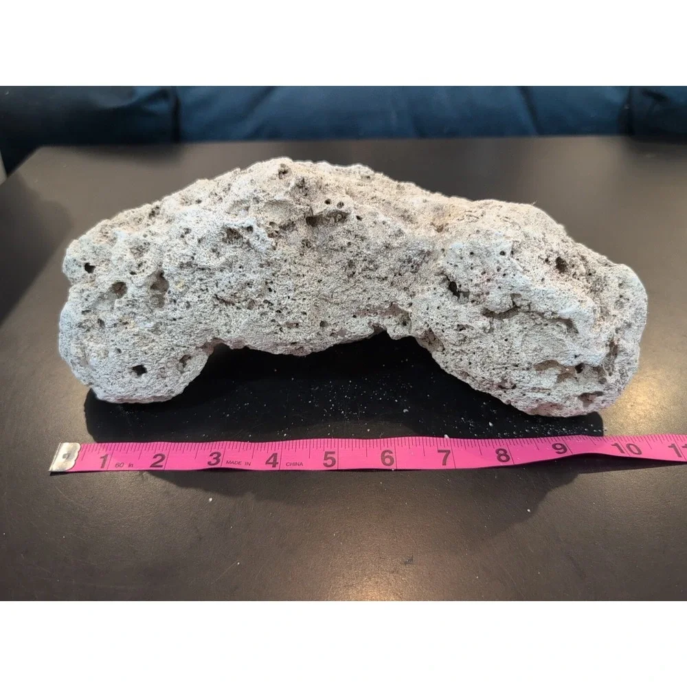 Coral Reef Cluster Specimen - 10